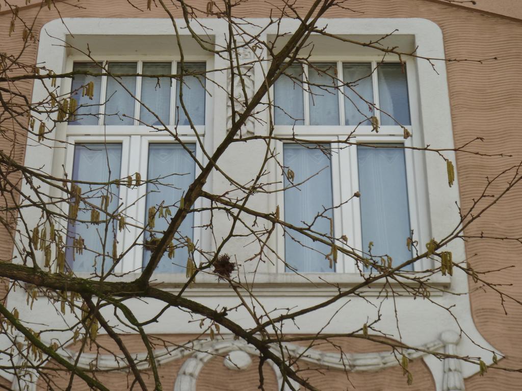 Hotel Zum Buegeleisen Duisburg Exterior foto